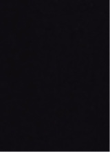 Guest_Xavi111111