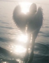 Guest_aangelicaa