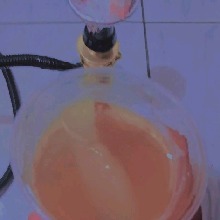 Guest_Reinaldo17