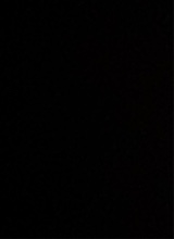 Guest_solcart1