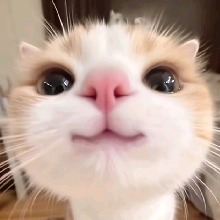 Guest_onesecong
