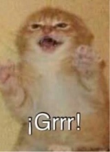 iianv