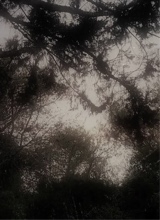 Guest_XxAriea