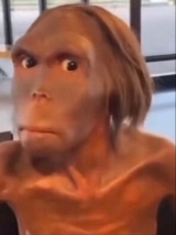 Sukkiioo