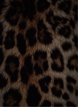 Guest_2rawwwmimi2