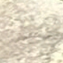 Guest_B503685