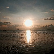 immagine avatar