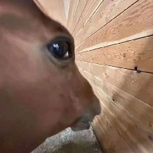 Guest_SOUDABIXX