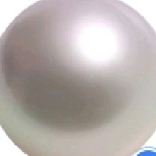 PollyPockety