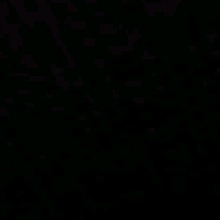Guest_LuizRicardo1
