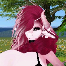 صورة الـavatar