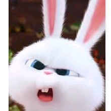 CunySeth