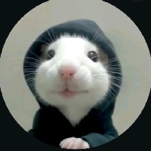 Guest_VINNSO
