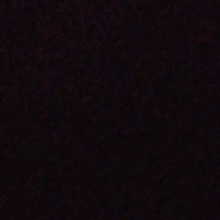 Guest_bigote2