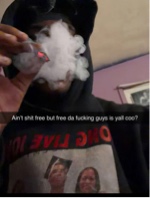 Guest_DQuan216682
